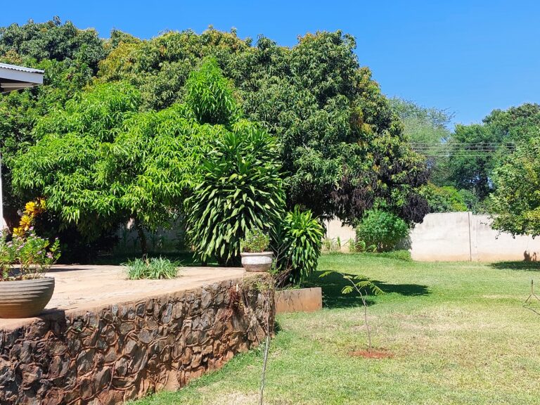 Misale House Mazabuka garden lawn